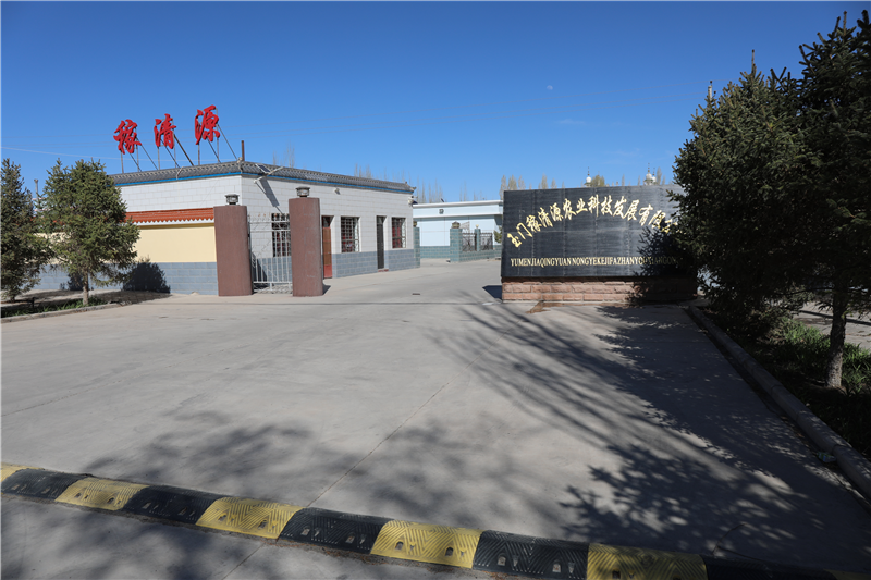 图片1.png 图片1.png